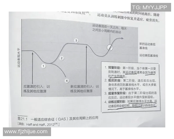 探索369完美拉扯的奥秘与技巧提升你的拉扯能力与运动表现 探索369完美拉扯的奥秘与技巧提升你的拉扯能力与运动表现